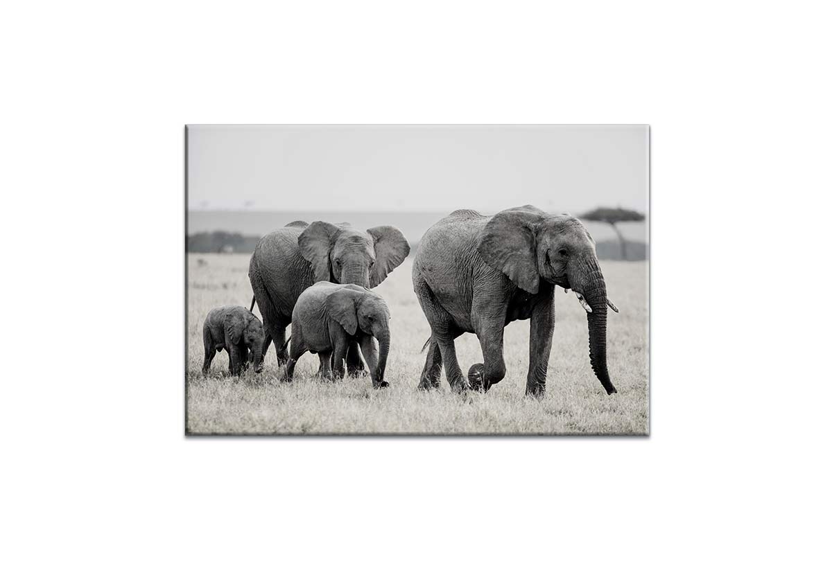 Elephant Family | Canvas Wall Art Print - Final Touch Decor
