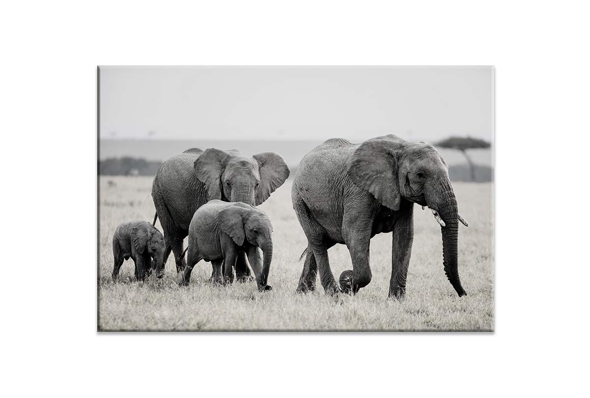 Elephant Family | Canvas Wall Art Print - Final Touch Decor