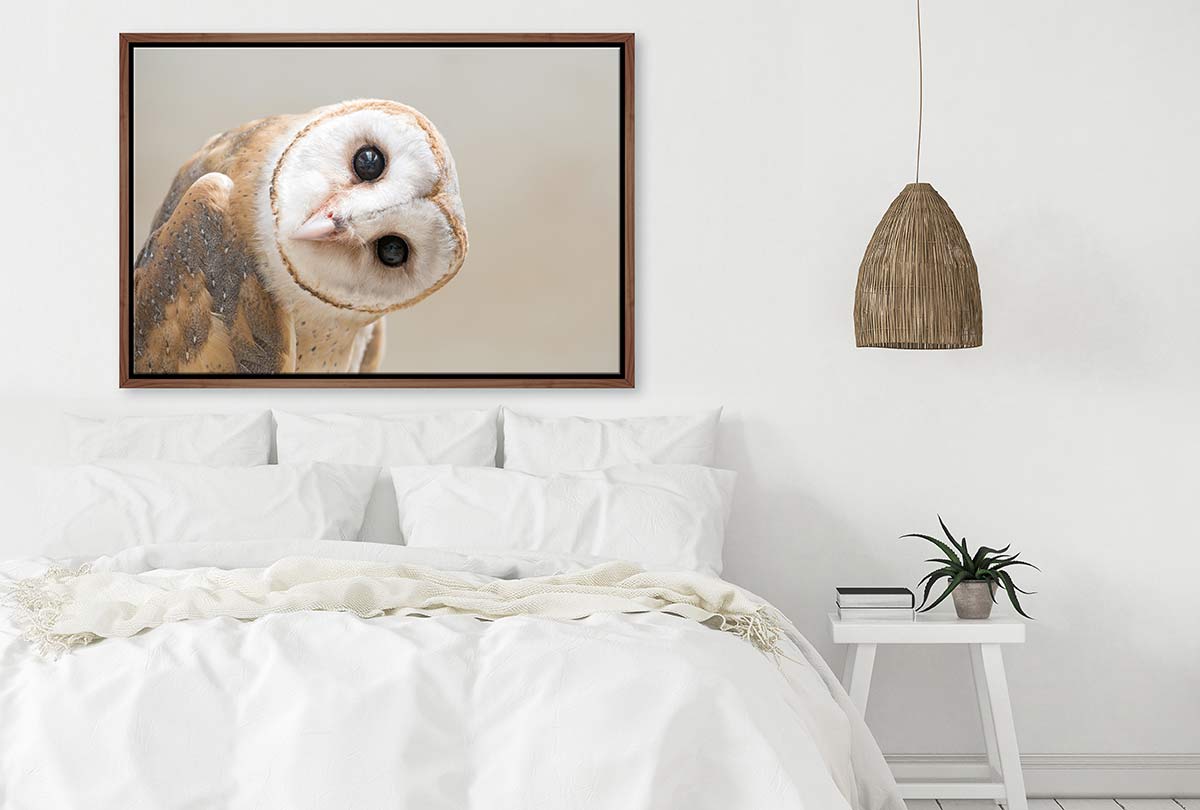 Curios Owl | Canvas Wall Art Print - Final Touch Decor