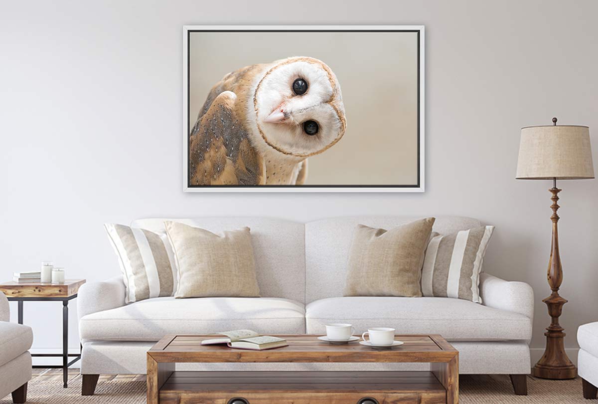 Curios Owl | Canvas Wall Art Print - Final Touch Decor