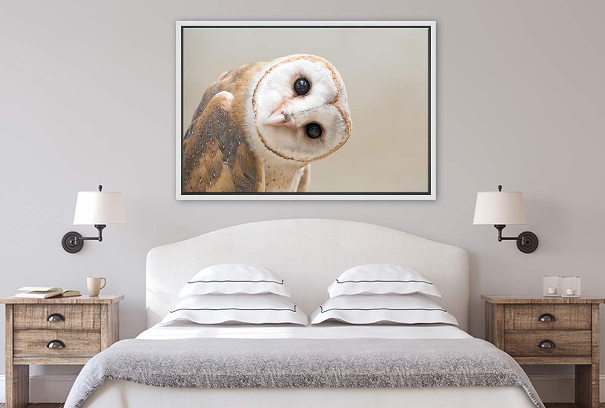 Curios Owl | Canvas Wall Art Print - Final Touch Decor