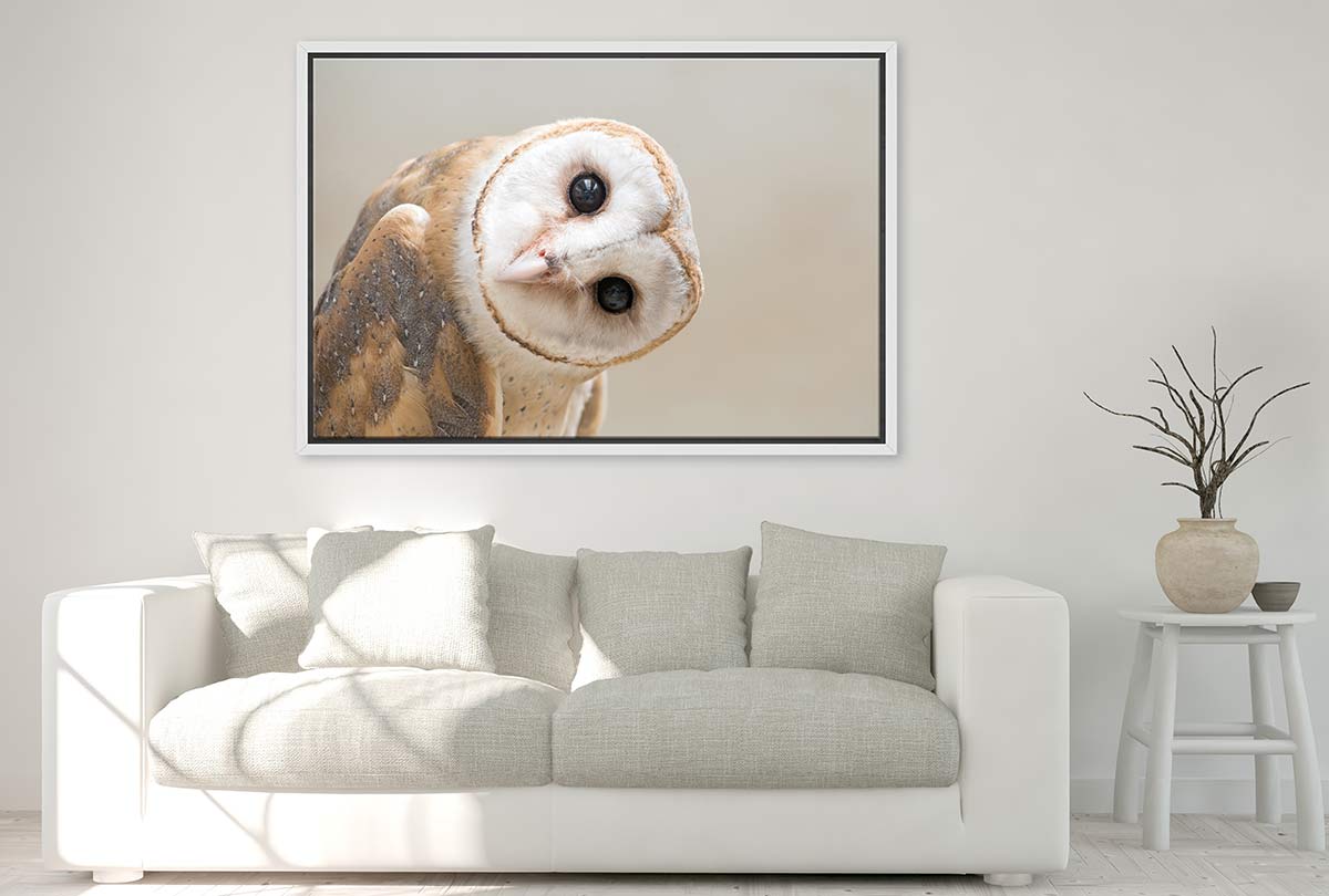 Curios Owl | Canvas Wall Art Print - Final Touch Decor