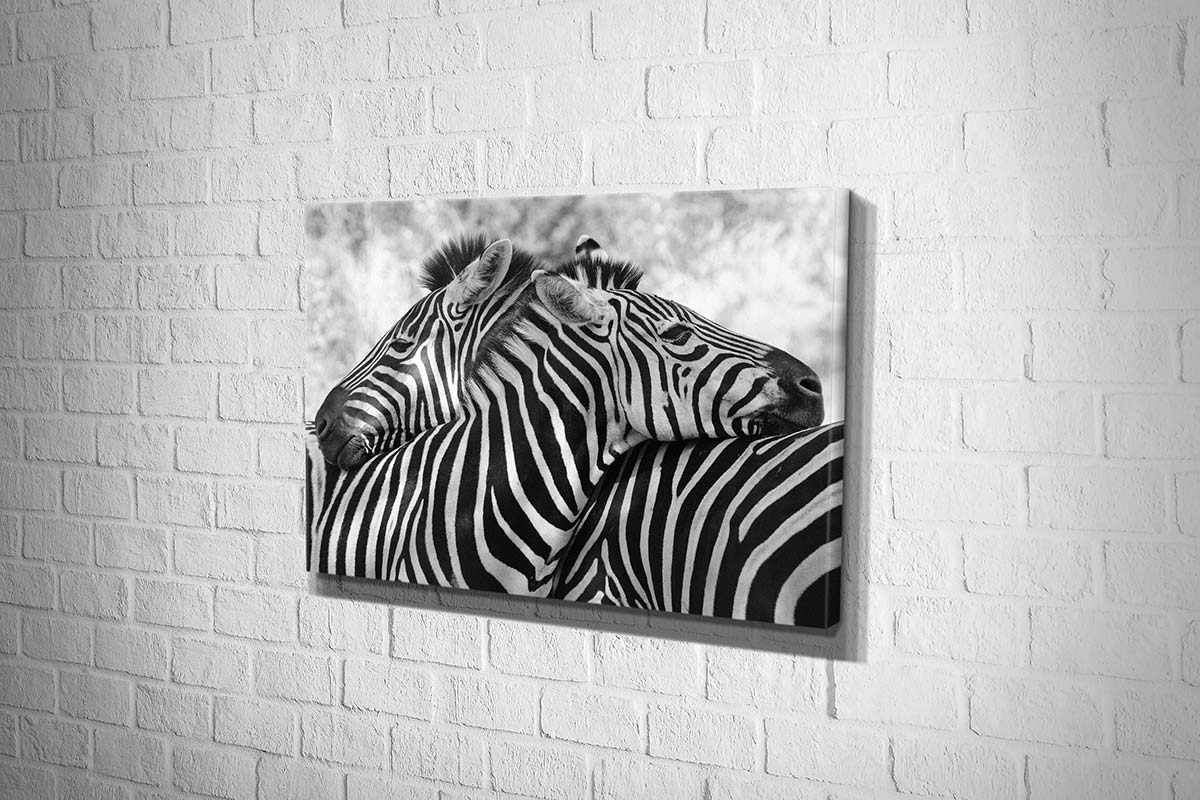 Zebra Love | Canvas Wall Art Print - Final Touch Decor