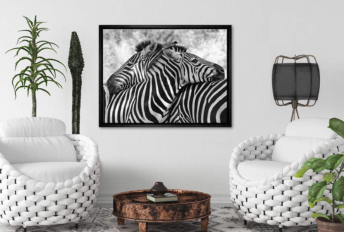 Zebra Love | Canvas Wall Art Print - Final Touch Decor