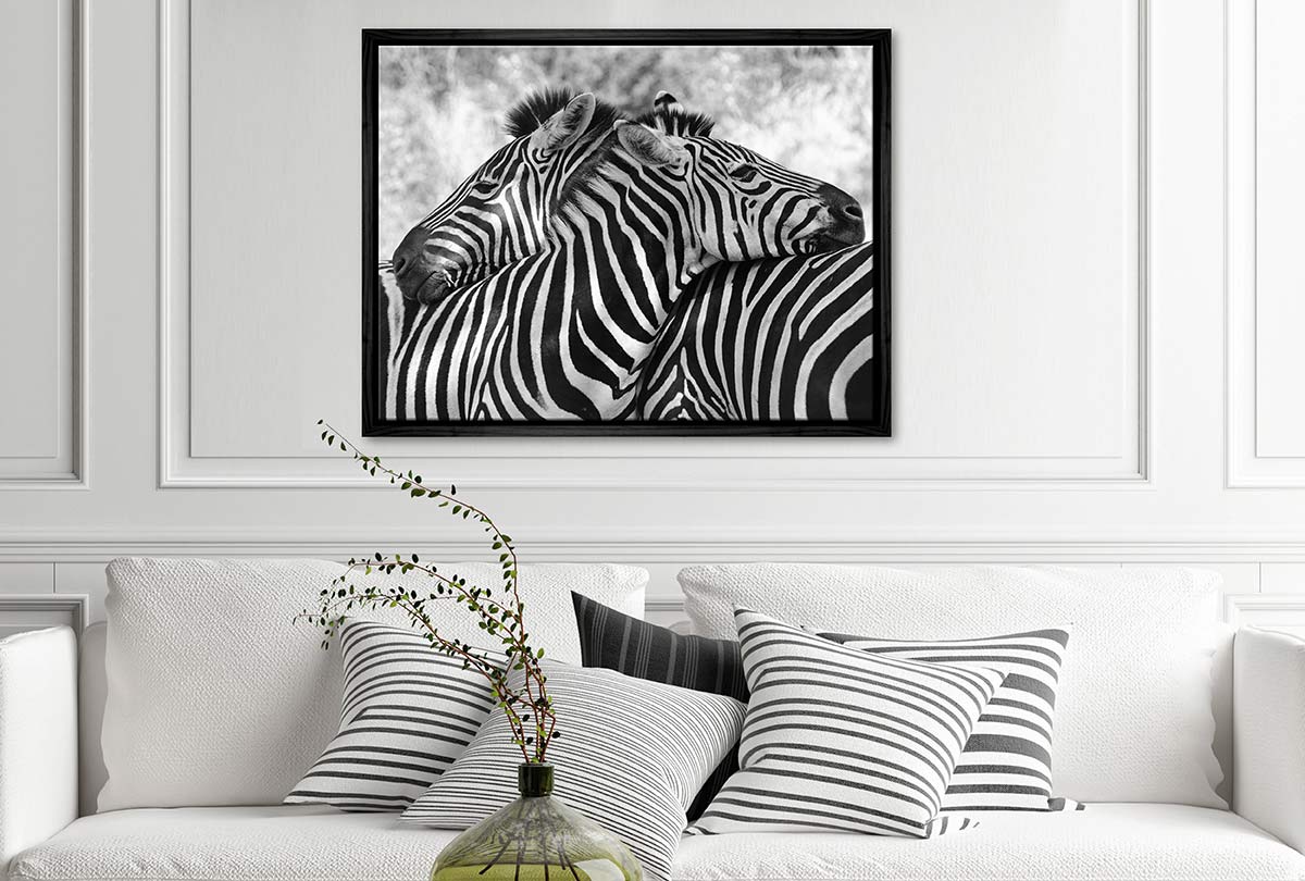 Zebra Love | Canvas Wall Art Print - Final Touch Decor