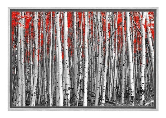 Birch Forest | Canvas Wall Art Print - Final Touch Decor