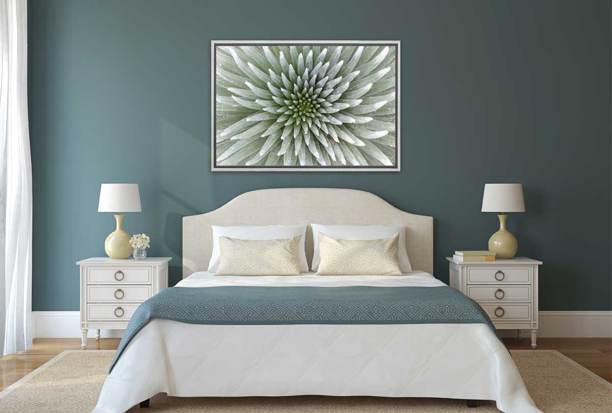 Petal Pattern | Canvas Art Print - Final Touch Decor