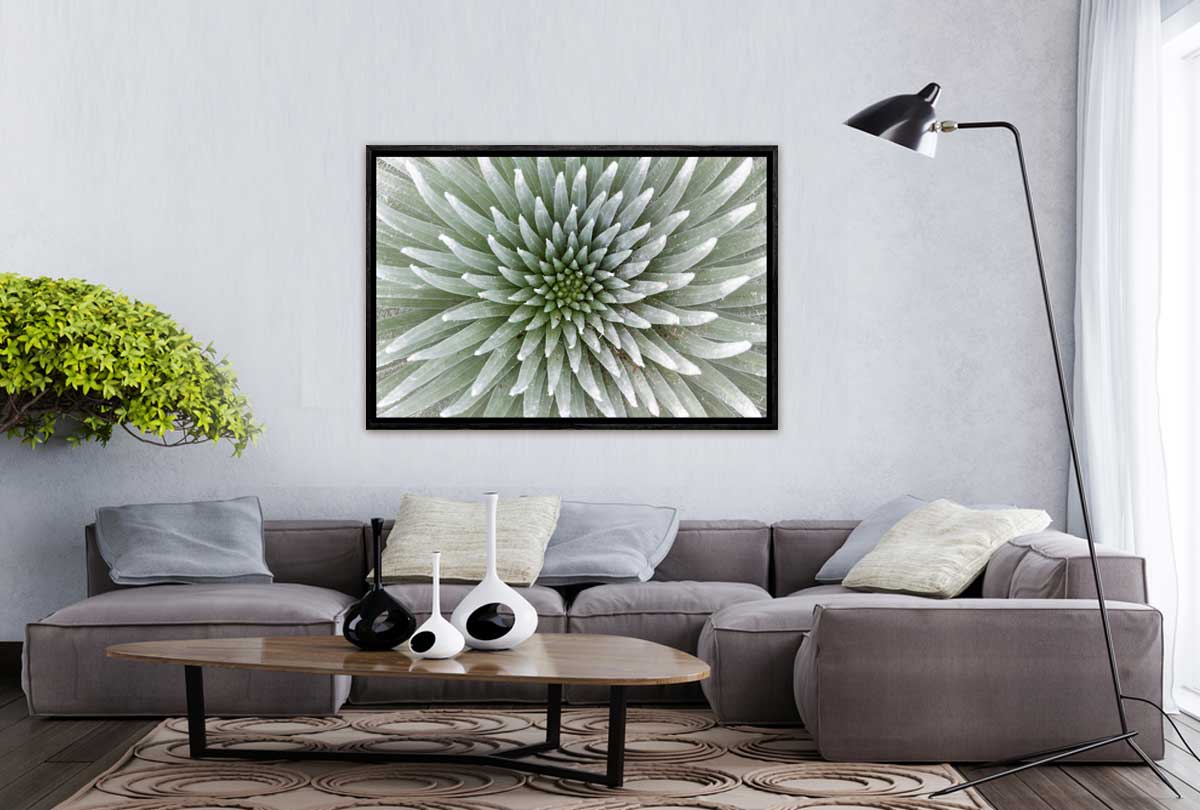 Petal Pattern | Canvas Art Print - Final Touch Decor