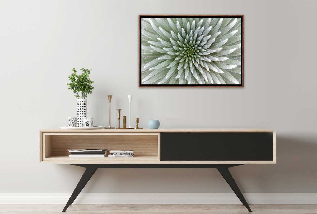 Petal Pattern | Canvas Art Print - Final Touch Decor