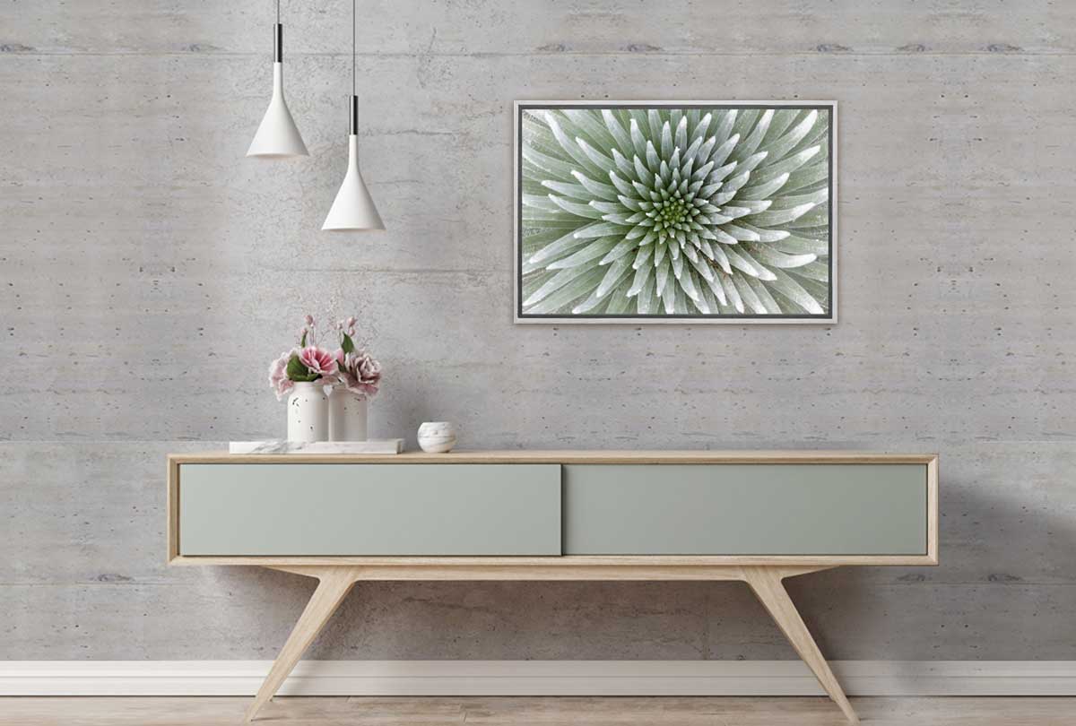 Petal Pattern | Canvas Art Print - Final Touch Decor