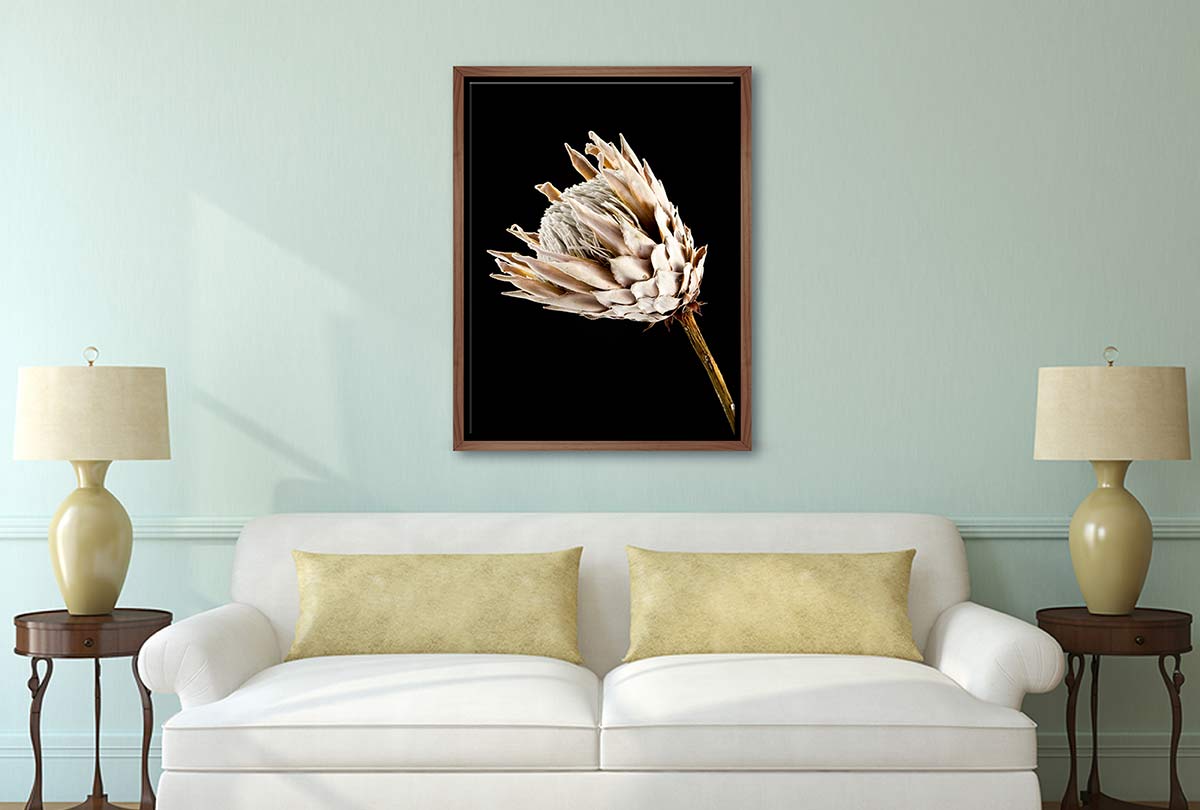 Protea | Canvas Wall Art Print - Final Touch Decor