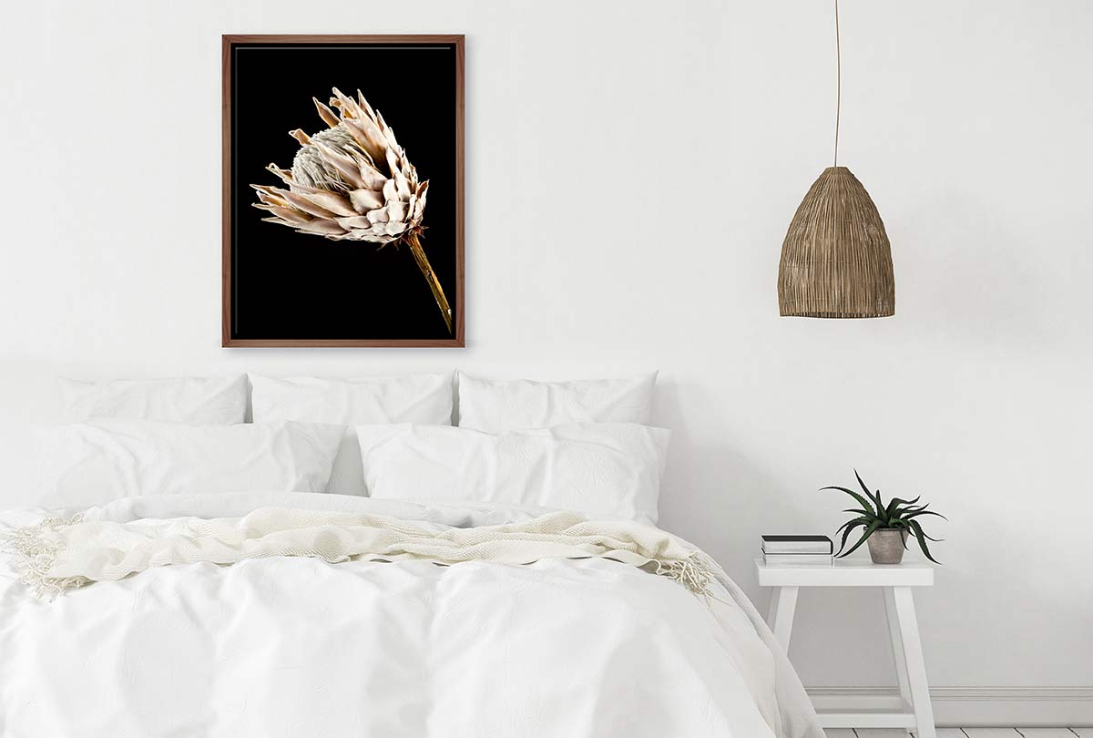 Protea | Canvas Wall Art Print - Final Touch Decor