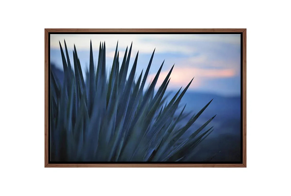 Sunset Over Agave | Canvas Wall Art Print - Final Touch Decor