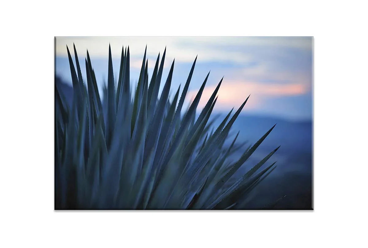 Sunset Over Agave | Canvas Wall Art Print - Final Touch Decor