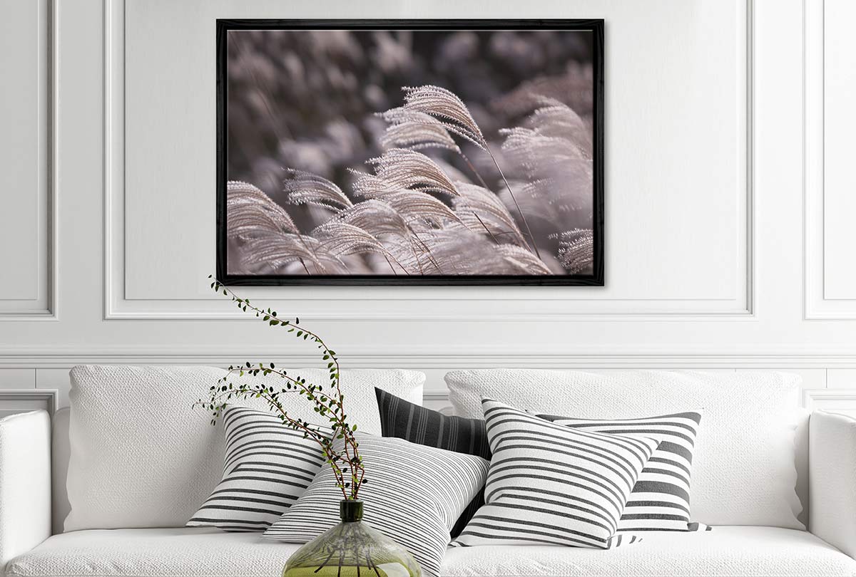 Japanese Pampas Grass | Canvas Wall Art Print - Final Touch Decor