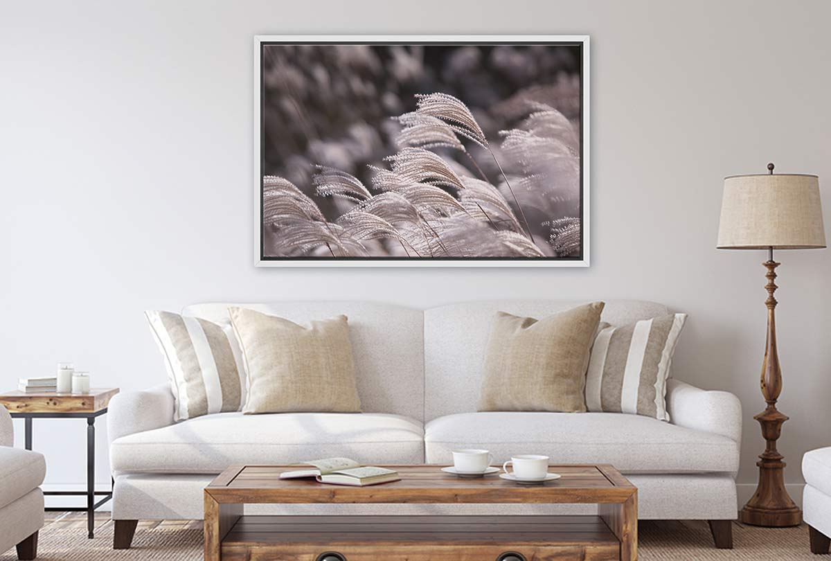 Japanese Pampas Grass | Canvas Wall Art Print - Final Touch Decor