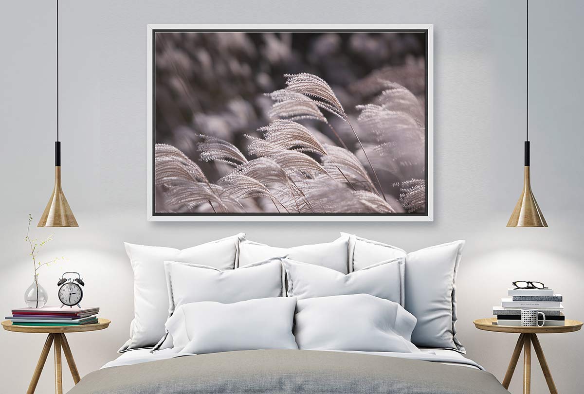 Japanese Pampas Grass | Canvas Wall Art Print - Final Touch Decor