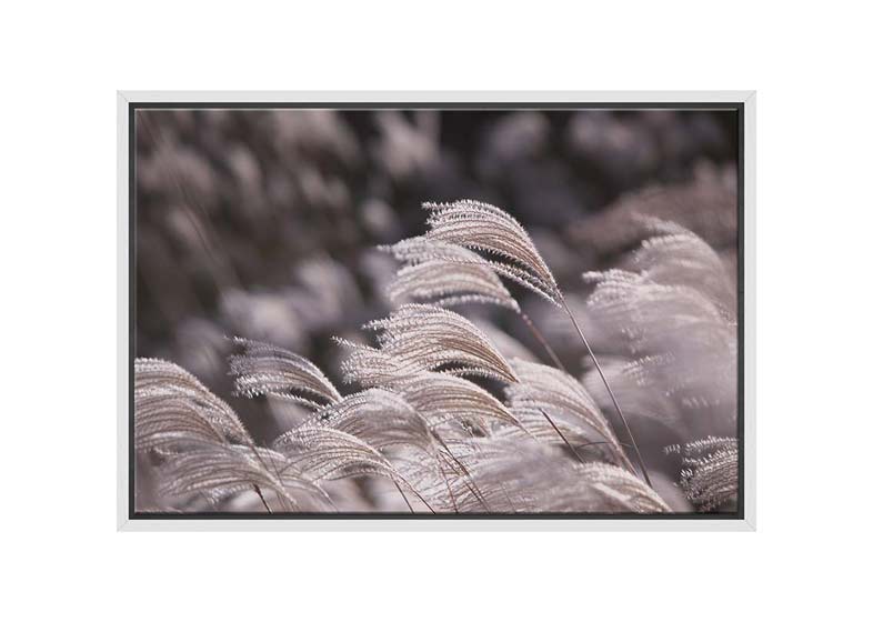 Japanese Pampas Grass | Canvas Wall Art Print - Final Touch Decor