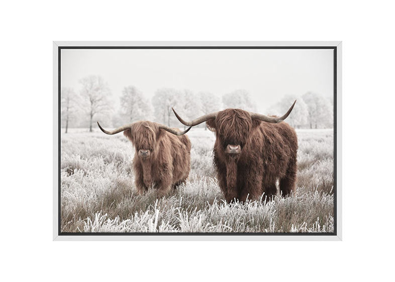 Highland Cows | Canvas Wall Art Print - Final Touch Decor