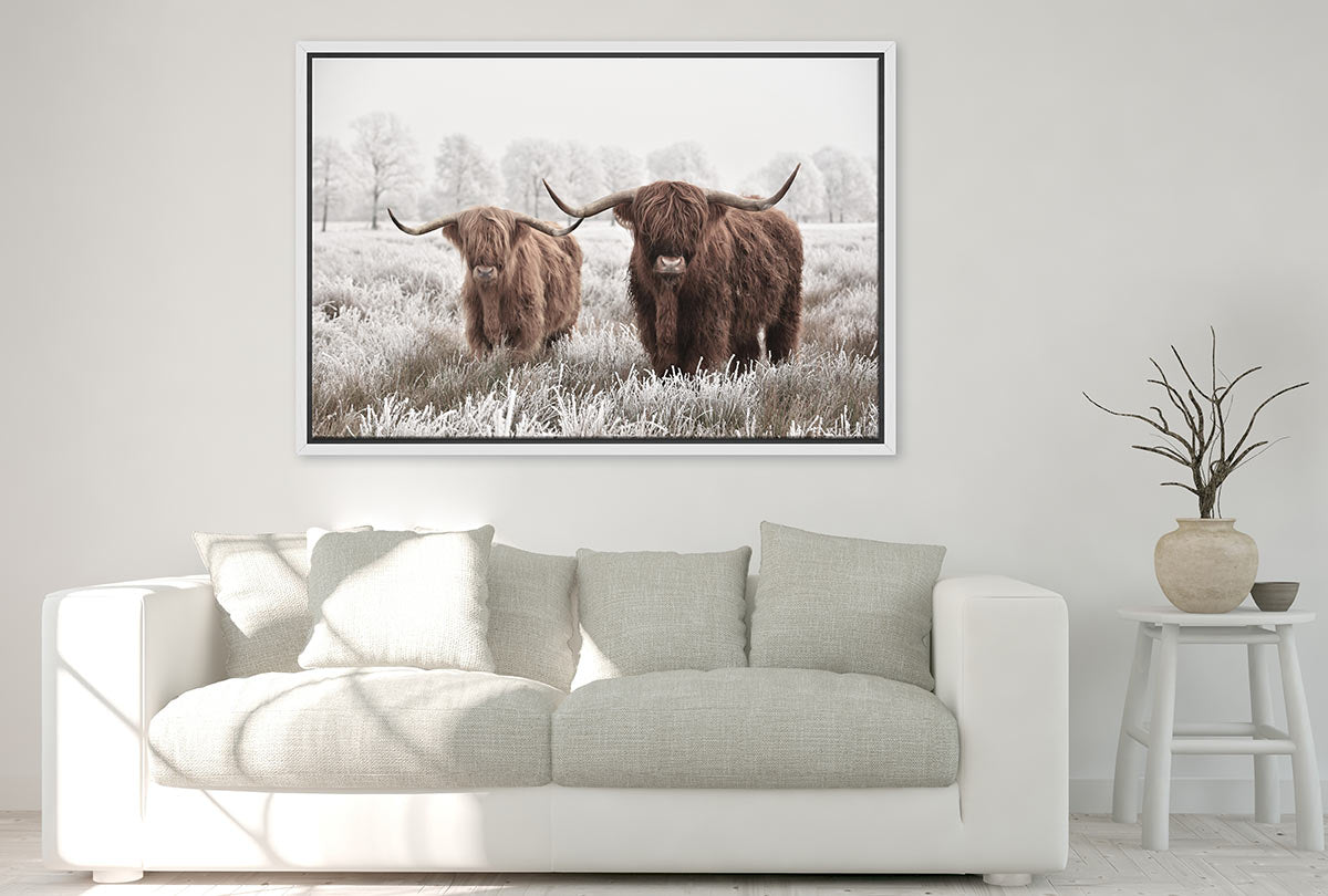 Highland Cows | Canvas Wall Art Print - Final Touch Decor