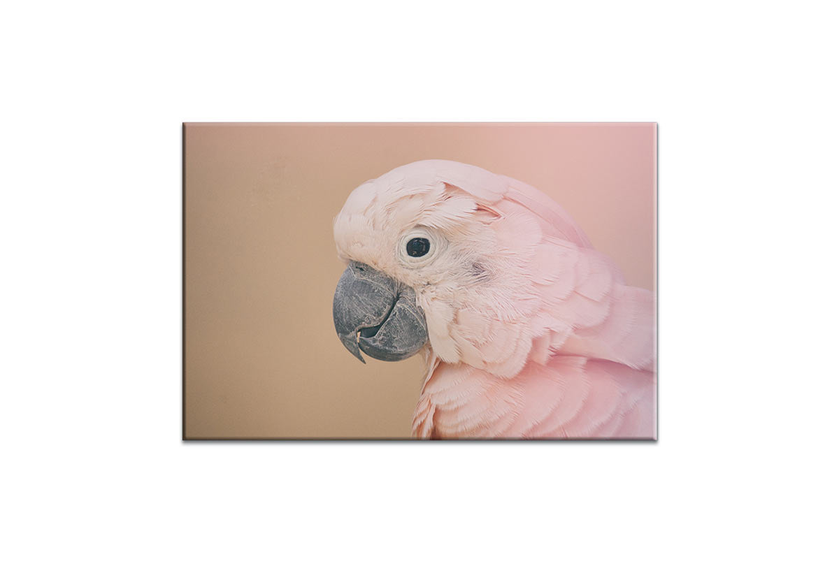 Pink Parrot | Canvas Wall Art Print - Final Touch Decor