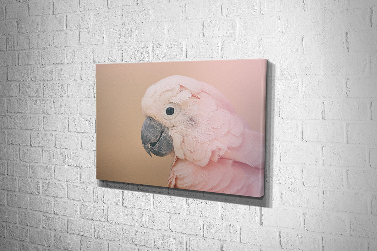 Pink Parrot | Canvas Wall Art Print - Final Touch Decor
