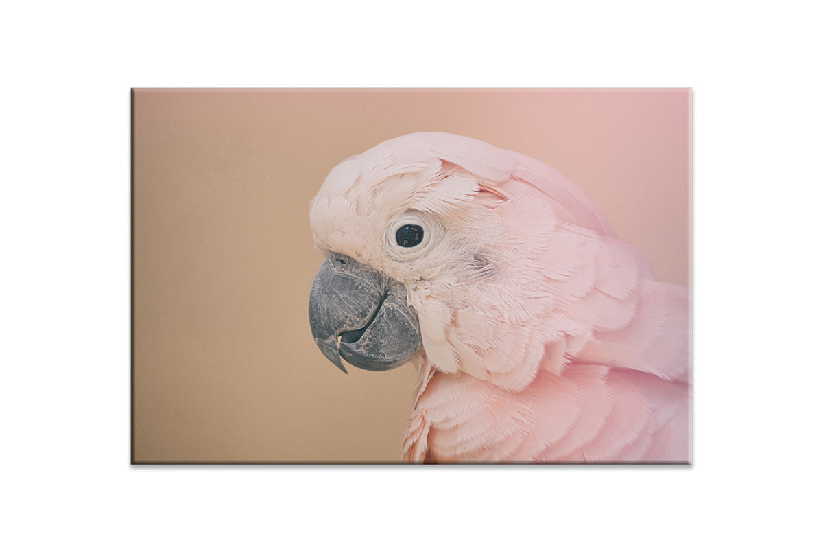 Pink Parrot | Canvas Wall Art Print - Final Touch Decor