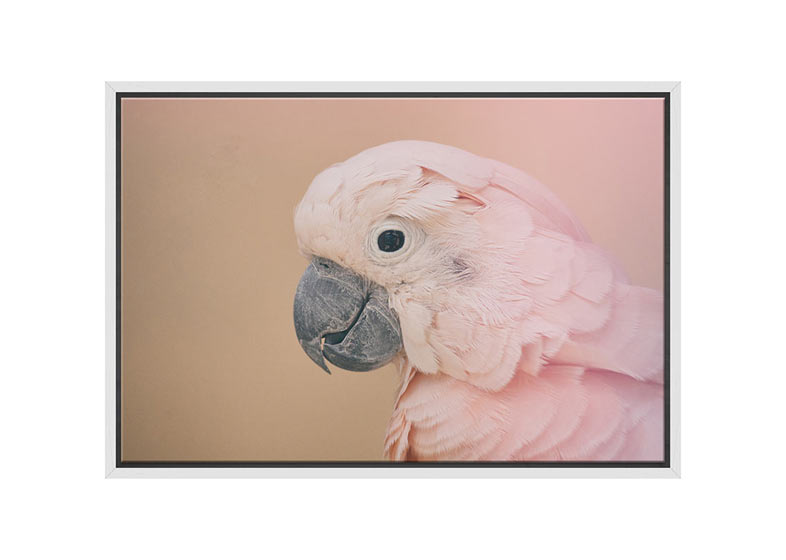 Pink Parrot | Canvas Wall Art Print - Final Touch Decor