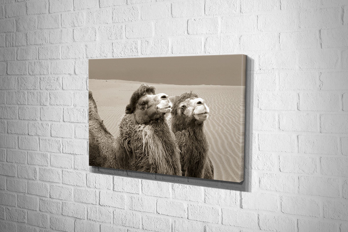 Camels | Canvas Wall Art Print - Final Touch Decor