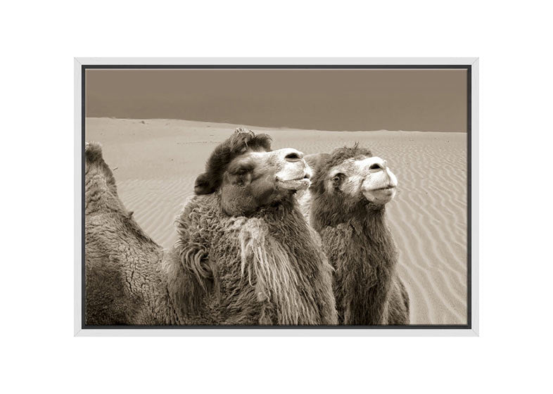 Camels | Canvas Wall Art Print - Final Touch Decor
