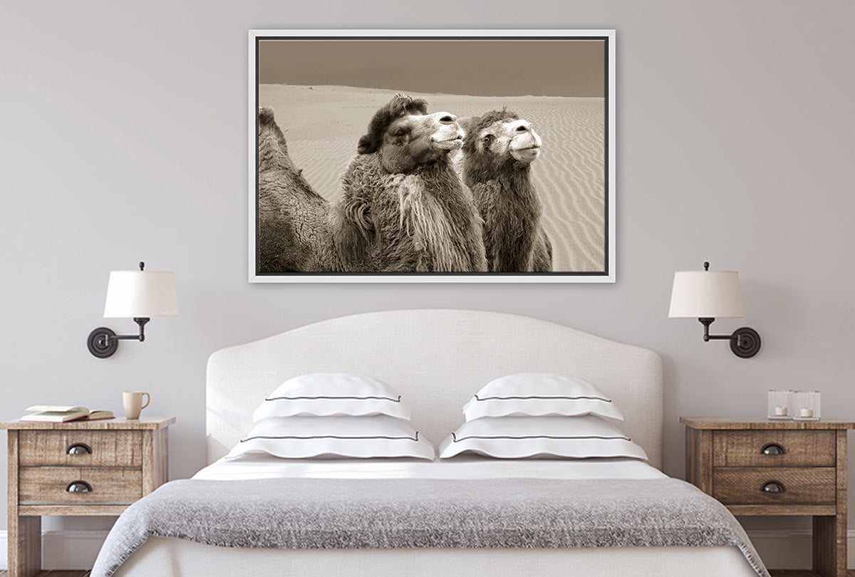 Camels | Canvas Wall Art Print - Final Touch Decor