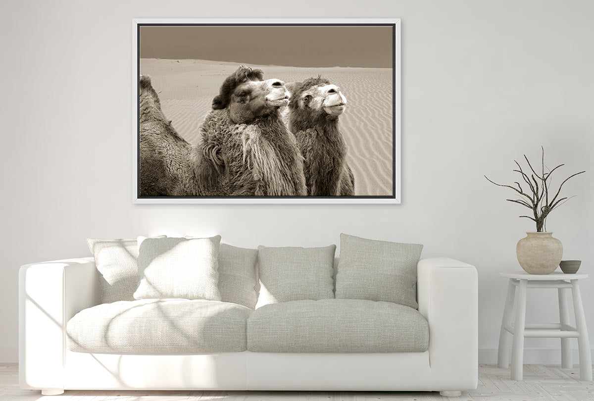 Camels | Canvas Wall Art Print - Final Touch Decor
