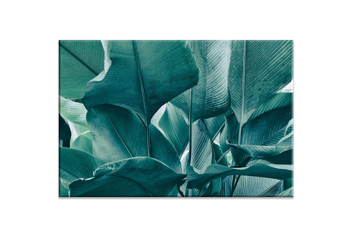 Tropical Leaves Blue Tone | Canvas Wall Art Print - Final Touch Decor
