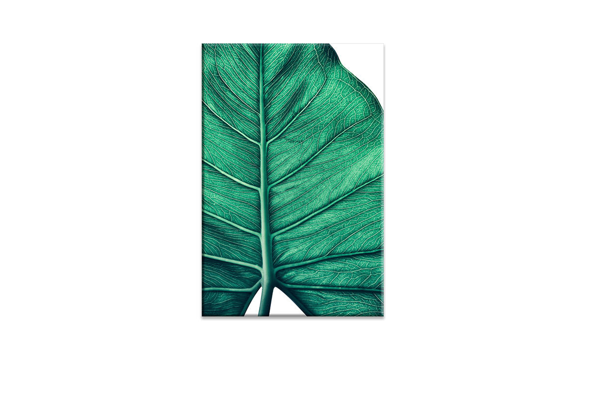 Tropical Leaf Close-Up | Canvas Wall Art Print - Final Touch Decor