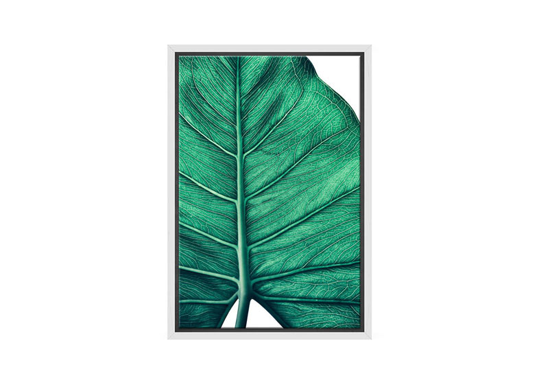 Tropical Leaf Close-Up | Canvas Wall Art Print - Final Touch Decor
