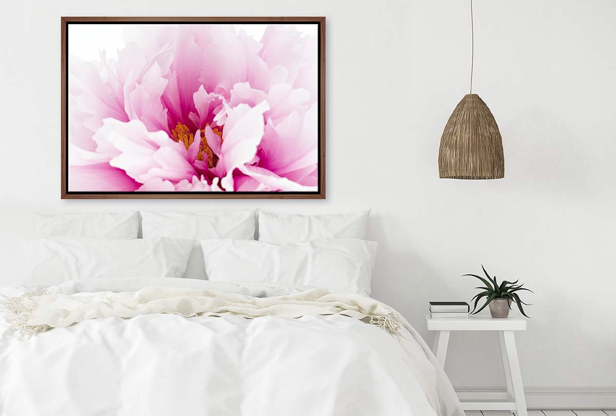 Pink Peony Close-Up | Canvas Wall Art Print - Final Touch Decor