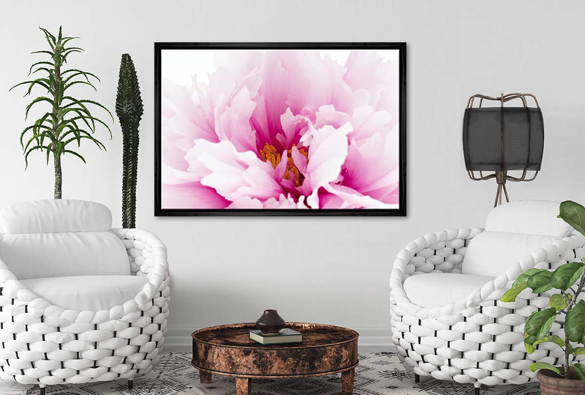Pink Peony Close-Up | Canvas Wall Art Print - Final Touch Decor