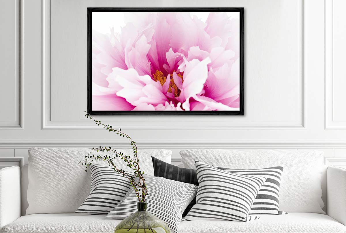 Pink Peony Close-Up | Canvas Wall Art Print - Final Touch Decor