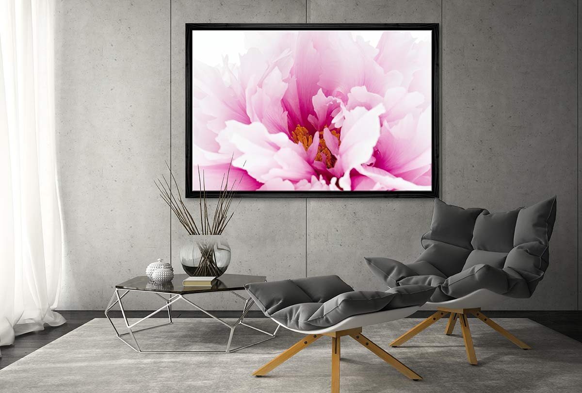 Pink Peony Close-Up | Canvas Wall Art Print - Final Touch Decor