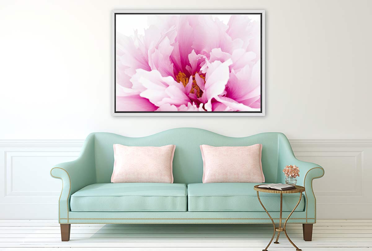 Pink Peony Close-Up | Canvas Wall Art Print - Final Touch Decor