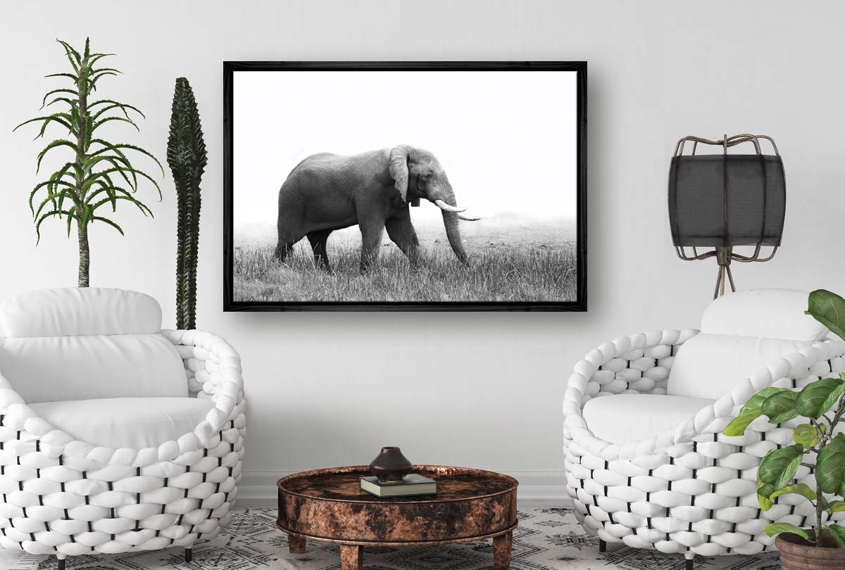 Wondering Elephant | Animal Canvas Wall Art Print - Final Touch Decor