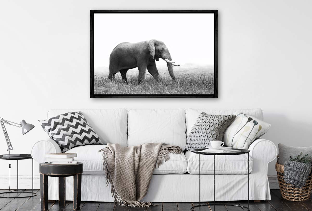 Wondering Elephant | Animal Canvas Wall Art Print - Final Touch Decor
