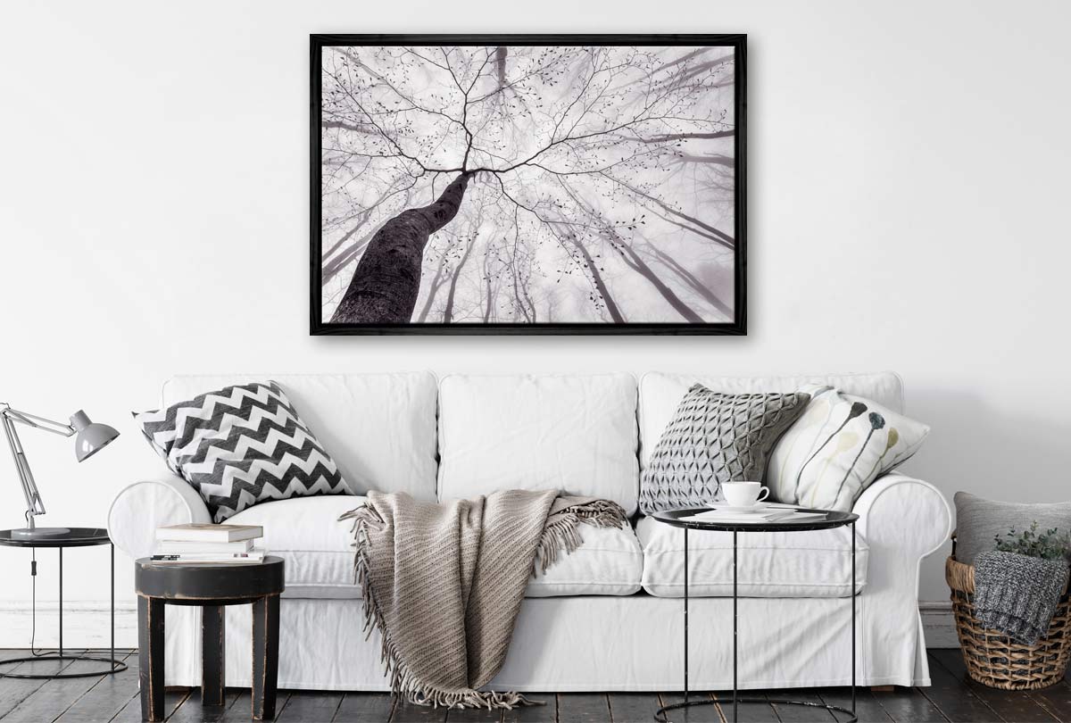 Beach Tree from Below | Canvas Wall Art Print - Final Touch Decor