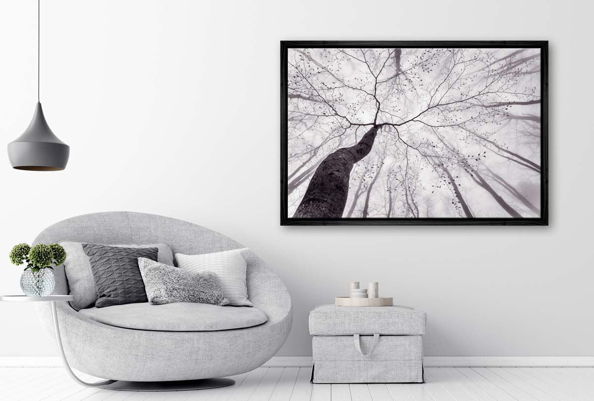 Beach Tree from Below | Canvas Wall Art Print - Final Touch Decor