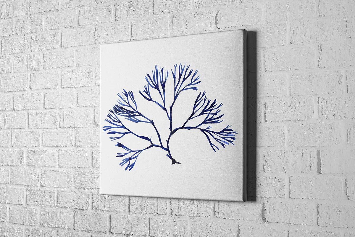 Blue Seaweed 2 | Hamptons Canvas Wall Art Print - Final Touch Decor
