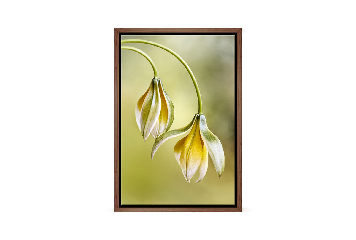 Yellow Flower Painted Effect | Flower Wall Art Print - Final Touch Decor