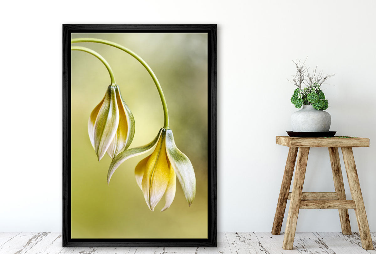 Yellow Flower Painted Effect | Flower Wall Art Print - Final Touch Decor