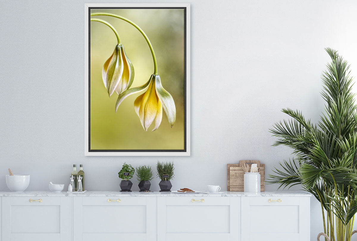 Yellow Flower Painted Effect | Flower Wall Art Print - Final Touch Decor
