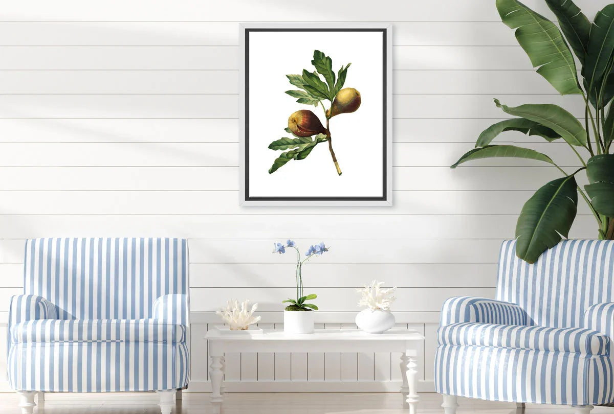 Botanical Illustration Fig | Botanical Wall Art Print - Final Touch Decor