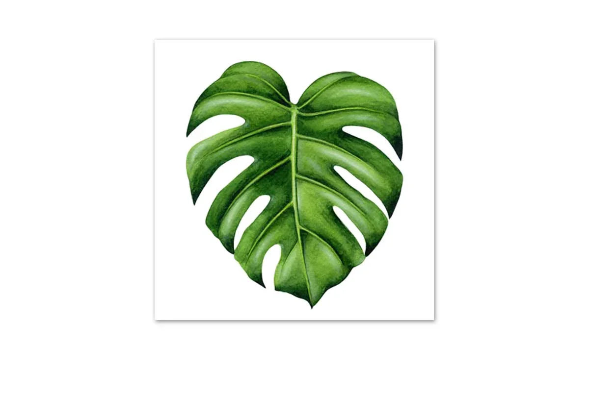 Monstera Leaf | Canvas Wall Art Print - Final Touch Decor